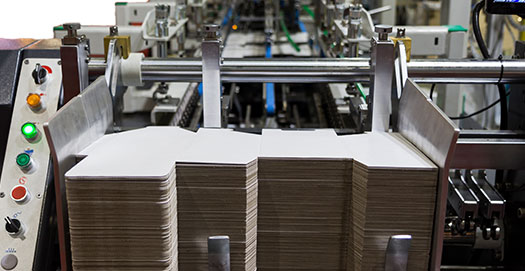 Pulp, Paper and Forestry Innovation