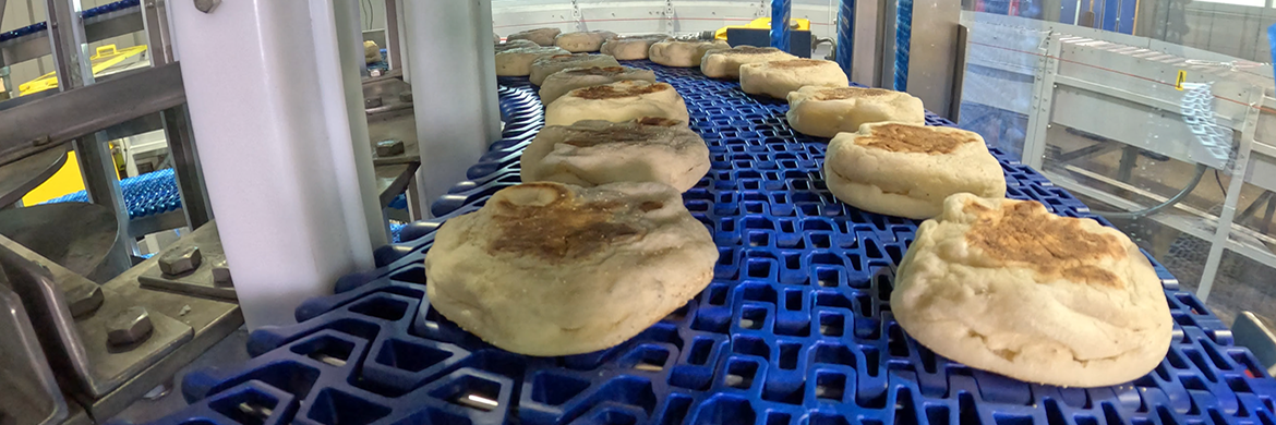 english muffins on spiral conveyor belt